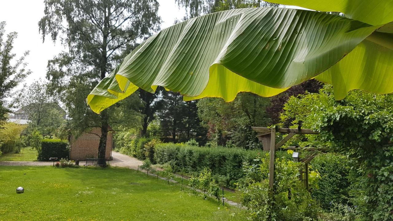 Chambres D'Hotes La Maison Du Sart Villeneuve-d'Ascq Zewnętrze zdjęcie
